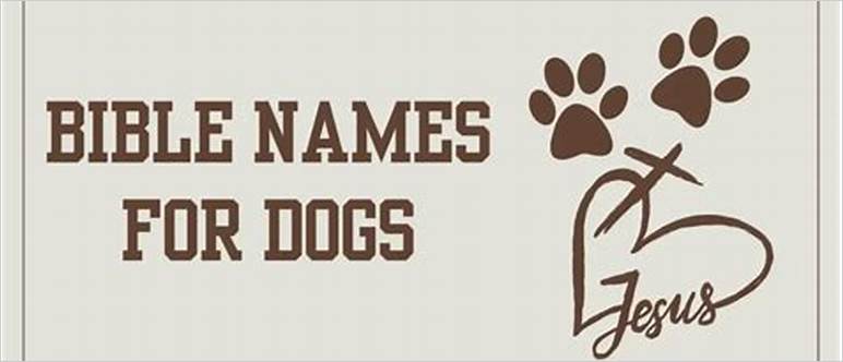 Bible names for dogs